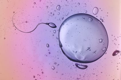 精子在受精时进去卵子