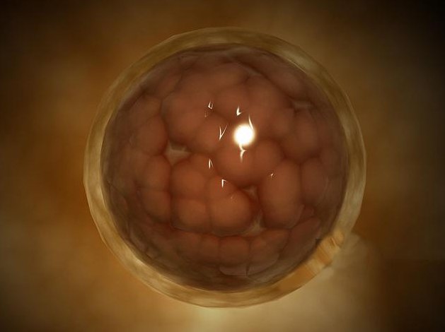 做试管婴儿囊胚培养，详解都有哪些优势与风险