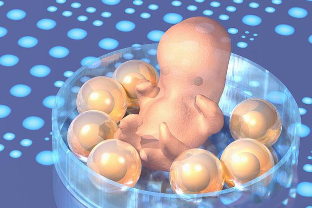 做试管婴儿囊胚培养，详解都有哪些优势与风险