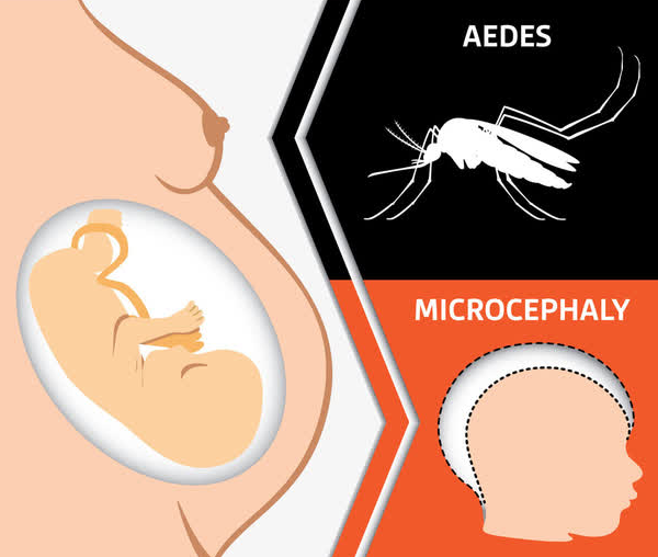 做试管婴儿如何进行胚胎选择？