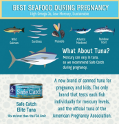 试管婴儿移植成功后，在怀孕期间吃哪些海鲜好呢？